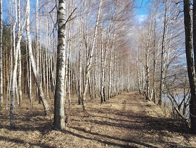 Photos of Turisticheskaya Stoyanka "Beloye"
