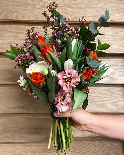 BLUSH + STEM - Visual
