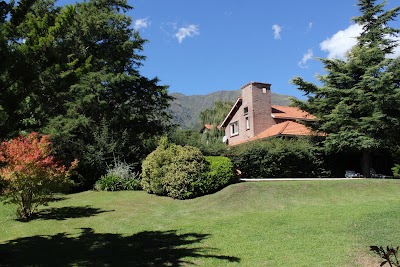 Photos of CHUMAMAYA&reg;