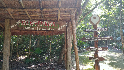 Jardín Botanico Dr. Alfredo Barrera Marín - Thumbnail