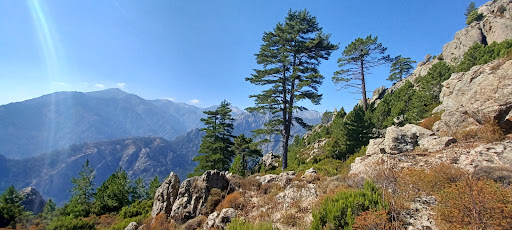 L'arche de Corte - Thumbnail