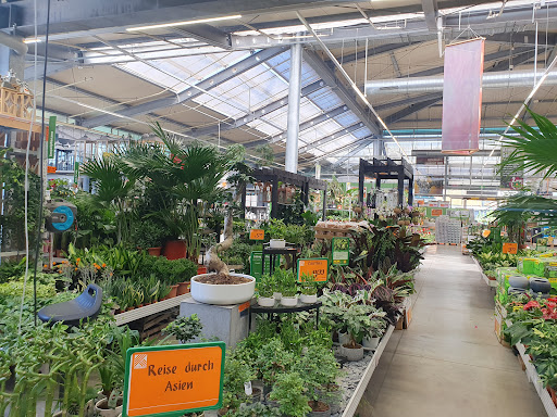 HORNBACH Darmstadt - Thumbnail
