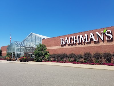 Bachman