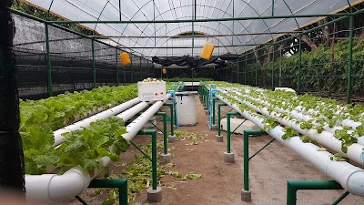 Photos of Zero Garden Restaurant