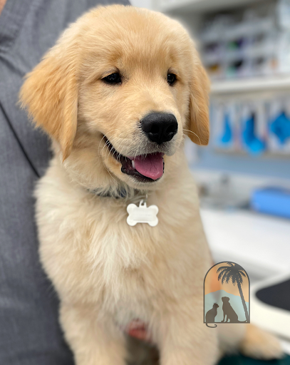 La Cumbre Animal Hospital - Thumbnail