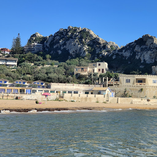Mollarella - Visual