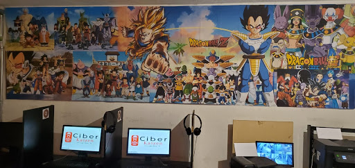 Ciber Kaizen - Visual