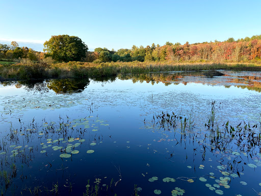 Fenton-Ruby Park - Visual