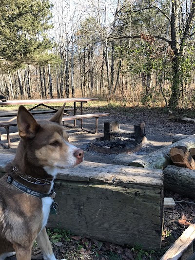 Lapham Peak Backpacking Campsite