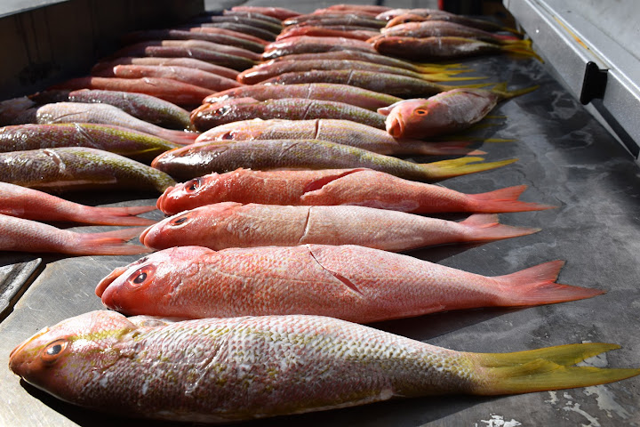 Ripe Kitchen & Bar by null