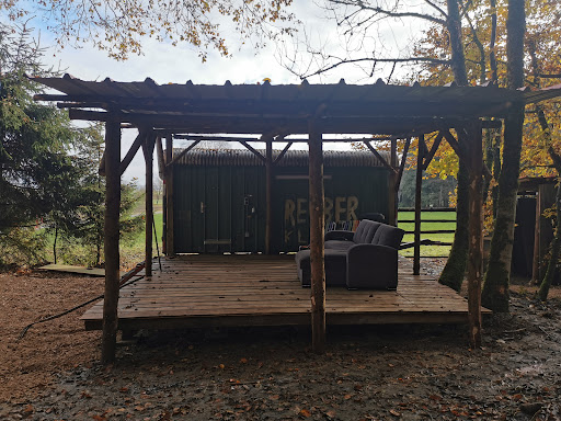 Bude Rindenmoos