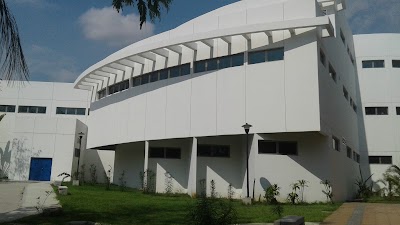 university