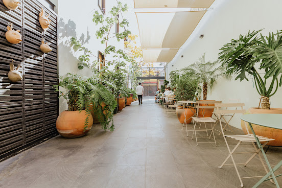 Endémico Restaurante by null