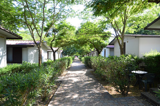Happy Village e Camping Roma