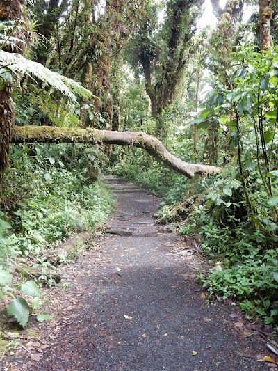 Photos of Barva Volcano National Park entrance