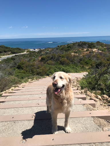 Cape Peron Car Park East - Thumbnail