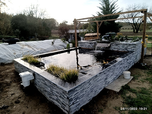 Ô naturelle piscine et bassin - Thumbnail
