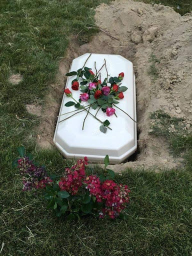 Pet Memorial Parks-Pet Burials - Thumbnail