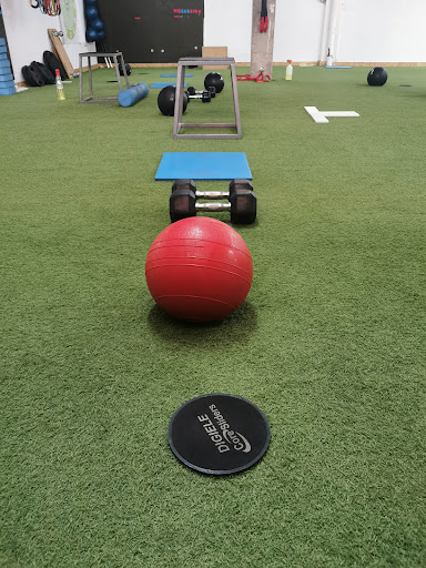 Fitplus Center - Thumbnail