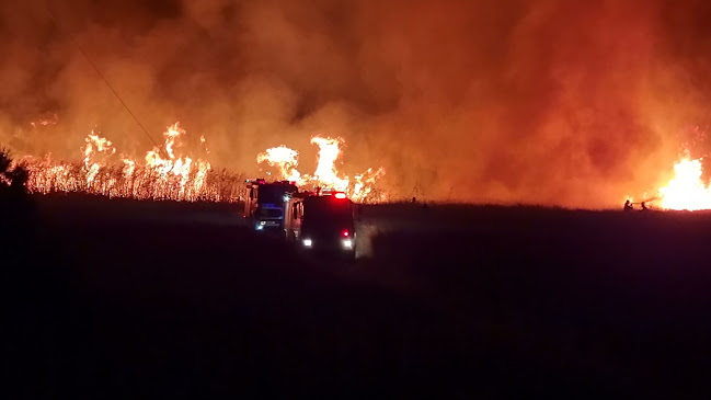 Comentarii opinii despre Εθελοντικές Δυνάμεις Δασοπυρόσβεσης Και Διάσωσης / Κλιμάκιο Ροδόπολης