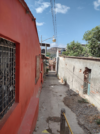 Centro Tehuantepec Garden - Thumbnail
