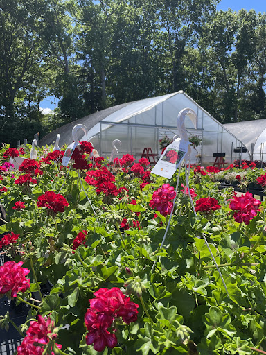 Powers' Country Gardens - Thumbnail