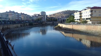 Bayburt University