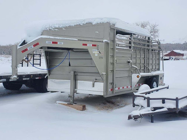 Colt Bruegman Trailer Sales