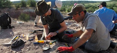 Mesalands Dinosaur Museum and Natural Sciences Laboratory