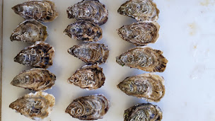 Photo n°16 de Les Huîtres de l'Ile de Gavrinis - H2G à Baden (Restaurant)