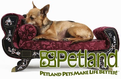 Petland Village of East Side