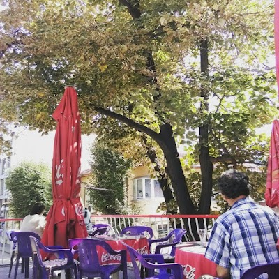 Photos of The Terrace