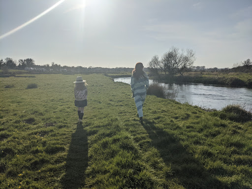 Wool Bridge - Visual