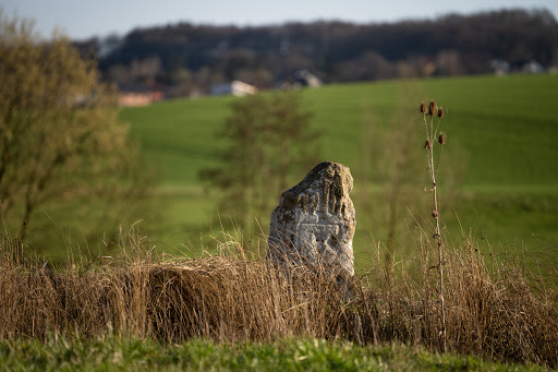 Menhir Sippersfeld