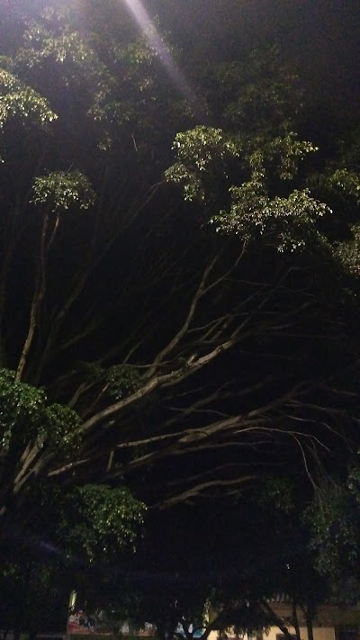 Photos of avenida celestino