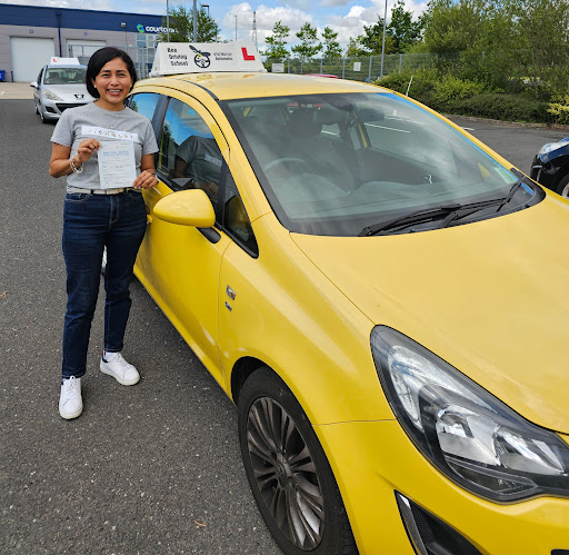 Bee Driving School (Automatic) - Visual