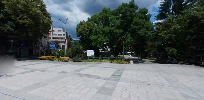 Площад Николай Гяуров
