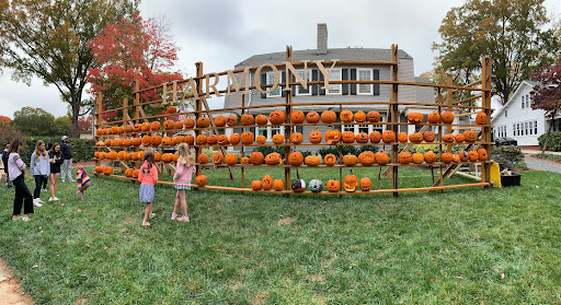Great Elizabeth Pumpkin Wall - Thumbnail