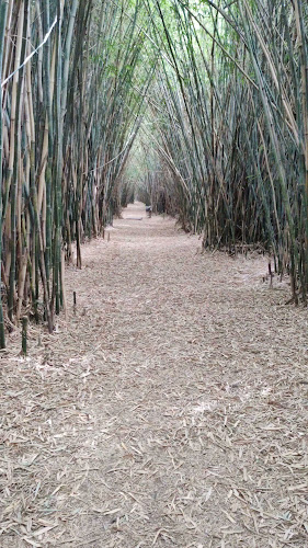 Quinta Capurro