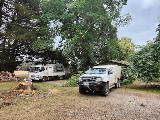 Arborimage Tree Services - Visual