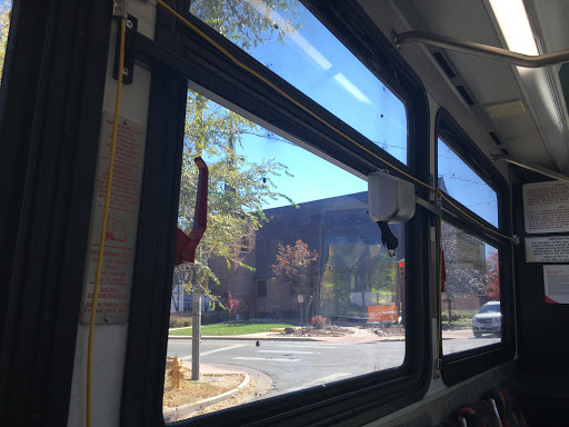 S Downing St & Yale Ave - Thumbnail