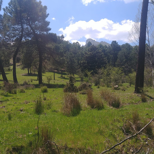 Mimbres Sur - Thumbnail