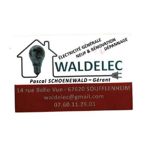 Waldelec - Visual
