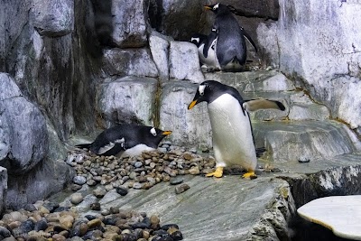 Loveland Living Planet Aquarium