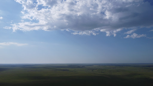 Bison loop start - Thumbnail