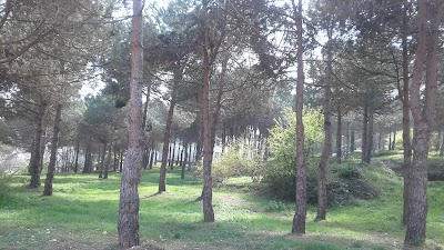 Photos of Karadeniz Teknik &Uuml;niversitesi Mimarlık Fak&uuml;ltesi