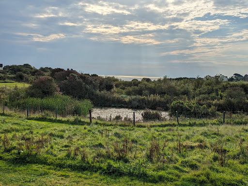 Honey Lane Camping and Caravanning - Thumbnail