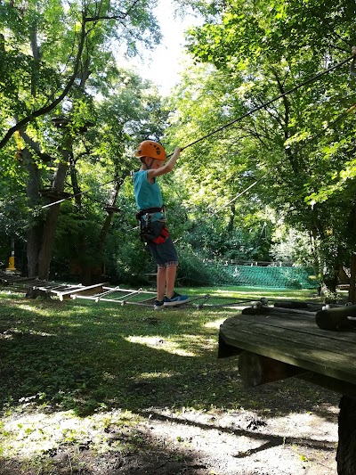 Photos of Old Lake Adventure Park