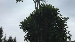 Photo n°1 de Service espace vert 77 à Montereau-Fault-Yonne (Jardinier)