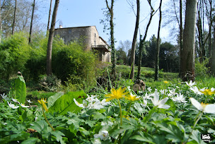 Photo n°17 de Le Gîte du Vieux Château à Poiroux (Gîte)